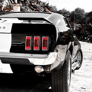 Meet your Posher, Kadence